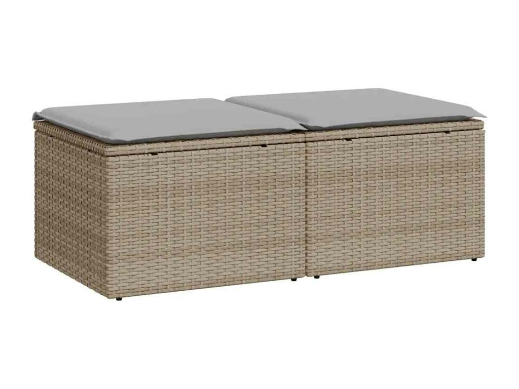 Ventoriq ZXQA24766 2-piece beige resin wicker garden furniture set with cushions