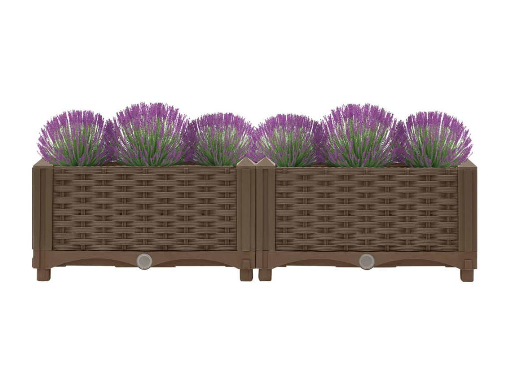 Raised bed 80x40x23 cm Polypropylene DZNA50046