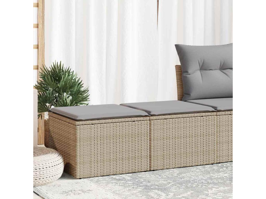 Ventoriq ZXQA24766 2-piece beige resin wicker garden furniture set with cushions