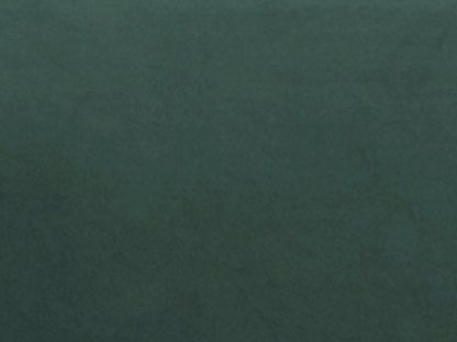 4-seater express convertible sofa in fir green velvet - 160 cm sleeping area - 18 cm mattress Ventoriq OFEQ99806